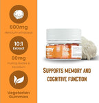 Troomy Lion's Mane Focus Gummies 30 Count - Natural Tangerine and Passionfruit Flavor, Gelatin-Free, Gluten-Free, Vegetarian