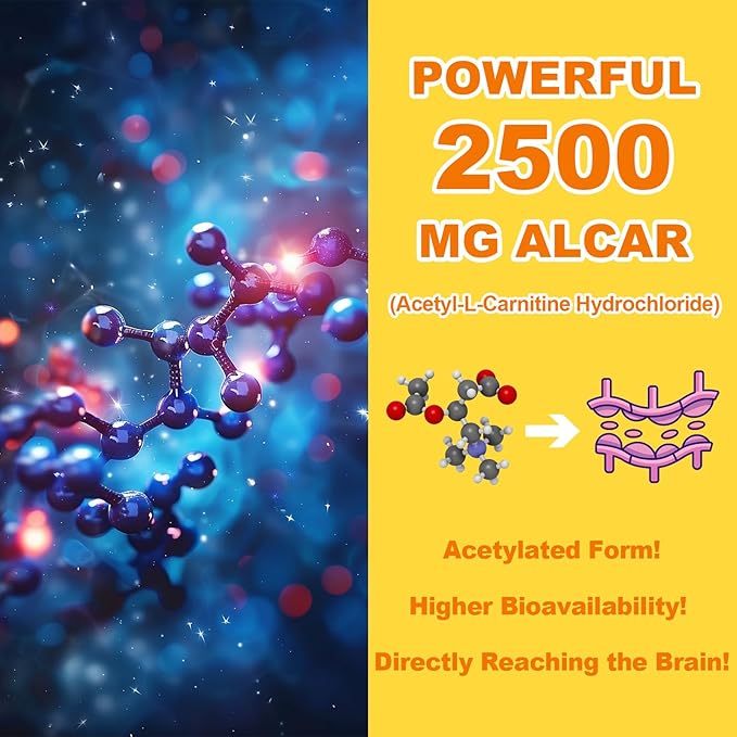 2 Pack Acetyl L-Carnitine Gummies Sugar Free, Premium L-Carnitine Supplement for Women & Men, ALCAR Supplement for Energy, Muscle, Focus & Brain Support, Gluten-Free, Non-GMO, Vegan, 120 Count