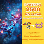 2 Pack Acetyl L-Carnitine Gummies Sugar Free, Premium L-Carnitine Supplement for Women & Men, ALCAR Supplement for Energy, Muscle, Focus & Brain Support, Gluten-Free, Non-GMO, Vegan, 120 Count