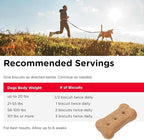 Nutri-Vet Hip & Joint Biscuits, Dog Joint Supplement, Dog Treat, Small Sized Biscuit with 166mg Glucosamine, Puppy Supplements, Tasty Glucosamine Treat, Puppy Essentials, 16 oz (Pack of 2)
