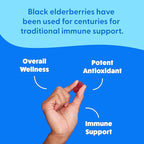Feel Great Sambucus Elderberry Gummies with Zinc and Vitamin C for Adults | Immune Support Booster | Berry Flavored Vegan Supplement | 90 Day Supply 