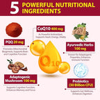 CoQ10 Gummies with PQQ - 400 MG Coenzyme Q10 High Potency, Enhanced with Ayurvedic Herbs, Adaptogenic Mushroom Blend & Probiotics for Heart, Brain, Energy, Immunity, Cherry Flavor, 120 Vegan Gummies
