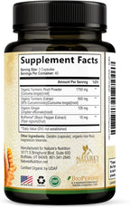 Turmeric Curcumin Supplement 2350mg - 95% Curcuminoids with Organic Turmeric & Ginger, BioPerine Black Pepper for Best Absorption, Nature's Vegan Joint Support, Non-GMO, Bottled in USA - 120 Capsules