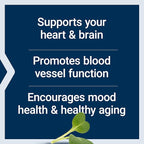 Life Extension Super Omega-3 EPA/DHA Fish Oil, Sesame Lignans & Olive Extract – Heart Health, Brain Health, Inflammation Health Support, Cholesterol Health Support, Gluten-Free, Non-GMO, 60 Softgels