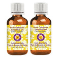 dève herbes Pure Oakmoss Essential Oil (Evernia prunastri) 100% Therapeutic Grade Steam Distilled for Personal Care (Pack of Two) 100ml X 2 (6.76 oz)