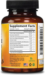 Turmeric Curcumin Supplement - 95% Curcuminoids with Glucosamine, Ginger & MSM, BioPerine Black Pepper Extract for Best Absorption, Natural Vegan Joint Support, Non-GMO, Bottled in USA - 60 Capsules