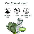 山本漢方製薬株式会社 YAMAKAN Natural Kale Powder for Smoothies& Drinks, Kale Green Juice, Powder Kale Drink with Fiber for Daily Energy, Digestive Gut Health& Immune System, Vegan from Japan, 44 Count