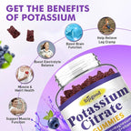 2 Pack Potassium Citrate Gummies, Potassium Supplement for Muscle Health, Leg Cramp Relief & Electrolyte Balance, Vegan, Non-GMO, Gluten-Free, Blueberry Flavor, 120 Count