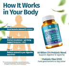 1 Body 60 Billion Probiotics for Men & Women, Gut Health for Men & Women with Prebiotics, Digestive Enzymes, Zinc & L-Glutamin, Non-GMO, 60 Vegan Digestive Probiotic Capsules