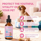 Healthy Petz Collagen for Dogs, Supports Joint Relief & Healthy Skin Coat, Gut Health, Premium Liquid Collagen Supplement, 2 fl.oz