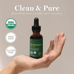 Global Healing Center - Detoxadine - Organic Nascent Liquid Iodine Supplement Drops for Thyroid Support, Detox Cleanse, and Metabolism - Non-GMO, Vegan, 200 Servings Iodine Drops (1 Oz)