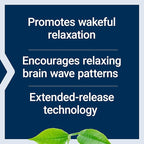 Life Extension Theanine XR™ Stress Relief – L-Theanine – Promotes a Calm Response to Daytime Stress – Non-GMO, Gluten-Free, Vegetarian – 30 Tablets