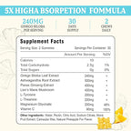 240MG Ginkgo Biloba Gummies | 60 Gummies | Improve Mood and Focus, Brain Health| Pineapple Flavor | Vegan, Non-GMO, Gluten Free Supplement