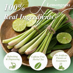 WT WEETEE Lemongrass Tea Bags, 100 Count Pure Lemon Grass Leaves Tea Bags, Natural Caffeine Free Herbal Tea