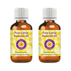 dève herbes Catnip Essential Oil (Nepeta cataria) Pure | Non-Sticky | Non-Greasy | Lightweight | Men & Women | All Skin Types | Steam Distilled 100ml X 2 (6.76 oz)
