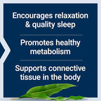 Life Extension Glycine, 1000 mg, Amino Acid That Promotes Healthy Sleep, Gluten-Free, Non-GMO, Vegetarian, 100 Capsules
