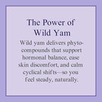At Last Naturals Wild Yam Cream Hormone Balance for Women Menopause PMS Relief with Vitamin E Helps Smooth Dry Skin Reduce Hot Flashes and Promotes Well Being (2 oz 1 Packs)