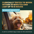 VetriScience Calm & Confident Chews, Composure Clinically Tested Calming and Anxiety Ashwagandha Supplement for Dogs, Stress Relief, Separation Anxiety, Behavior Support, Chicken, 90 Count