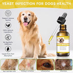Natural Yeast Infection Treatment for Dogs, Helps to Support Itch Relief, Dog Ear Infection Treatment & Dog Yeast Infection Treatment for Dogs Help Supports Allergy, 60ml 1 Pack