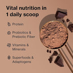 BODi Shakeology 0g Added Sugar Plant Based Protein Powder Blend, Gluten-Free Shake with Vitamins and Minerals – Helps Support Healthy Weight Loss, Lean Muscle, Cookies and Creamy- 14 Servings