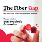 Bum Prebiotic Fiber Supplement for Men - Chicory Root Inulin Prebiotic Fiber Gummies for Men for Peachy Digestive Health, Regularity & Boating Relief - 4g Per Serving - 60 Gummies (30 Servings)