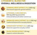 Liposomal Turmeric - High-Absorption Curcumin Supplements, Non-GMO Blend for Digestive Comfort & Daily Support - Organic Turmeric Supplement with Black Pepper (120ct, Pack of 1)