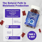 Melatonin Free Sleep Gummies for Adults with Magnesium, Valerian Root, 5-HTP & Herbal Blend - Natural Sleep Aid Supplements - Non-Habit Forming, Sugar Free, Strawberry Flavor, 60 Count (2)