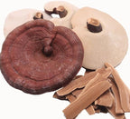 Dried Reishi Mushrooms - 1 lb - Product of Japan