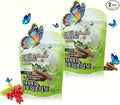 BUTTERFLY'S TEAR Berberine Supplement Gummies – Support Healthy Metabolism with Ceylon Cinnamon, Turmeric, Green Tea, Vegan, Non-GMO, Gluten-Free - Green Grape Flavor (2 Pack 120 Chew)