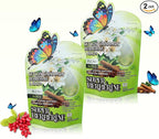 BUTTERFLY'S TEAR Berberine Supplement Gummies – Support Healthy Metabolism with Ceylon Cinnamon, Turmeric, Green Tea, Vegan, Non-GMO, Gluten-Free - Green Grape Flavor (2 Pack 120 Chew)