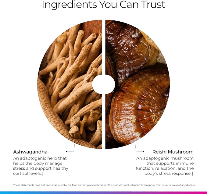 Livingood Daily Stress Support, 12-in-1 Supplement with Ashwagandha, Reishi Mushroom, Vitamin B6, Adaptogenic Herbs & Magnesium, Supports Mood & Calm, Gluten Free, Vegan, 60 Vegetarian Capsules