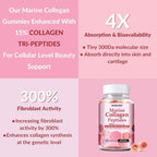 Marine Collagen Gummies for Women- Hydrolyzed Collagen Peptides 1000mg with Biotin,Vitamin C, E, Hyaluronic Acid- Collagen Supplement for Healthy Skin Hair Nails- Sugar Free, 90 Counts