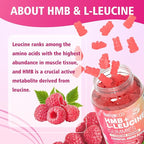 MEENCCD HMB and L-Leucine Gummies, HMB and Leucine Amino Acid for Muscle Growth, Muscle Maintenance, and Muscle Comfort, for Men & Women, Sugar-Free, Raspberry Flavor, 60 Count