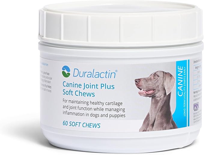 PRN Pharmacal Duralactin Canine Joint Plus Soft Chews - Joint Health Supplement for Dogs & Puppies - Pet Mobility Support - 60 Soft Chews