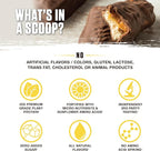 Ambrosia Planta - Premium Plant-Based Protein | Vegan & Keto Friendly | Gourmet Flavors with No Bloating or Stomach Upset | Gluten & Soy Free | No Added Sugar | 14 Servings | (Candy Bar)