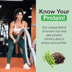 PEScience Select Vegan Protein Powder, Plant Based Protein Powder, Amazing Taste, Smooth Texture, Pea and Brown Rice Blend, Dairy Free, Lactose Free, Gluten Free – 5 Flavor Variety Pack, 25 Servings