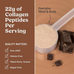 Bulletproof Dark Chocolate Energy Collagen Protein, 19.3 Ounces, Caffeine-Free Fuel with Vitamins and Antioxidants, Blend with Ginseng, Magnesium, Cordyceps Mushroom