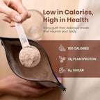 UpNourish Chocolate Vegan Protein Powder 54 Superfoods Powder,1.5 Billion CFU Probiotics 21g Plant Based Protein,No Sugar No Dairy No GMO Dairy Free,Meal Replacement Shake Keto-Friendly Low-Carb Diet,15 Servings