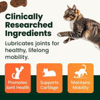 VetriScience Healthy Hip & Joint Chews, GlycoFlex Glucosamine and Green-Lipped Mussel Joint Support Supplement for Cats, Promote Mobility and Protect Joints, Chicken, 60 Count