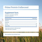 Equip Foods Prime Protein Powder | Clean, Grass Fed Beef Protein Powder | Carnivore Protein Isolate | Paleo, Keto Friendly | Gluten & Dairy Free | Helps Build & Repair Tissue | 30 Servings, Unflavored