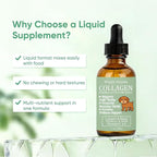 Waggle Hounds 9 in 1 Liquid Collagen for Dogs, Coat & Joint Support with Collagen, Hyaluronic Acid, Turmeric & Vitamins C & E for Everyday Care