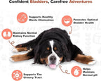Doggie Dailies Cranberry Supplement for Dogs Bacon Flavored - Urinary Tract, Bladder & Kidney Support for Dogs - Cranberry with Marshmallow Root, Licorice Root & Apple Cider Vinegar, 225 Soft Chews