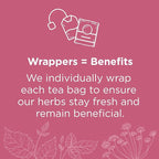 Traditional Medicinals Organic Raspberry Leaf Herbal Tea, Eases Menstrual Cramps & Supports Healthy Pregnancy - 48 Tea Bags
