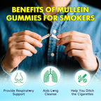 softbear 2PCS Mullein Gummies for Lungs, 2000mg Mullein Leaf Extract Supplement for Respiratory & Digestive & Immune Support, Organic, Vegan, Sugr-Free, Pieneapple Flavor 120 Count