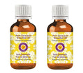 Deve Herbes Pure Geranium Essential Oil (Pelargonium graveolens) Steam Distilled (Pack of Two) 100ml X 2 (6.76 oz)
