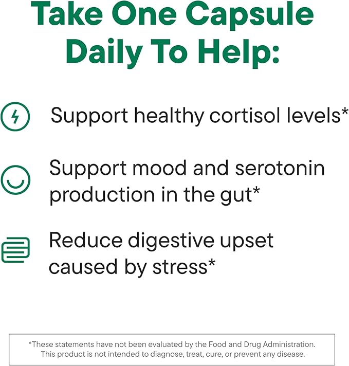 Daily Nouri Stress Support Probiotics for Women & Men | Mood & Cortisol Support | Gut-Brain Axis + Digestive Support | 3 Clinically Studied Strains + Omega | 60-Day Supply