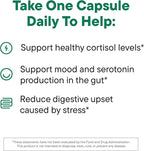Daily Nouri Stress Support Probiotics for Women & Men | Mood & Cortisol Support | Gut-Brain Axis + Digestive Support | 3 Clinically Studied Strains + Omega | 30-Day Supply