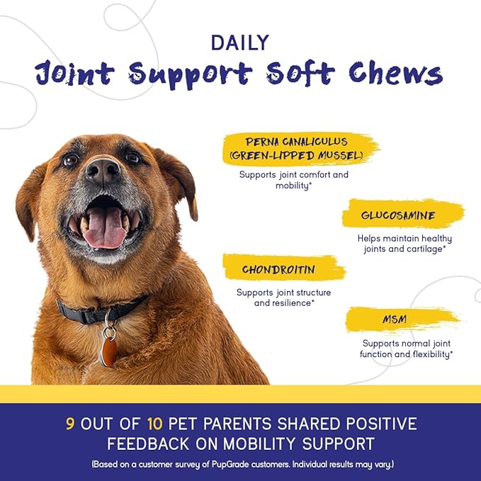 PupGrade Joint Support Supplement for Dogs - Glucosamine + Chondroitin with MSM and Perna - Supports Normal Hip & Joint Health for Occasional Discomfort, Peanut Butter Flavor - 60 Soft Chews