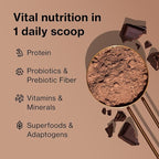 BODi Shakeology 0g Added Sugar Whey-Based Protein Powder – Gluten-Free Superfood Shake with Vitamins & Minerals – Helps Support Healthy Weight Loss & Gut Health, Chocolate, 14 Individual Packets
