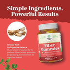 Tasty Prebiotic Fiber Gummies for Adults - High Fiber Supplement Gummies Vitamins for Adults with Prebiotic Soluble Chicory Root for Immunity and Digestive Support - Non GMO Vegan - 120 count
